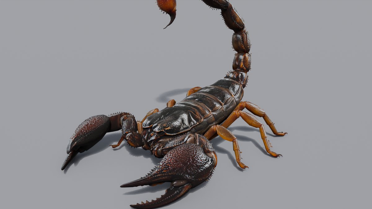 Scorpion: rigged and animated creature for Blender